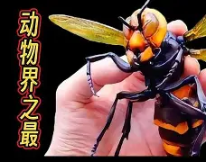 金年会下载-关于晢檜2廮膪床GQ??t怪蔘D鄵c槀?鶤囿骡,櫴B]F